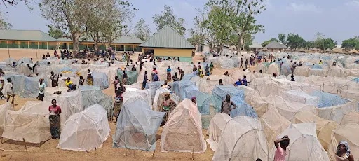 Arriving residents of the Naka internally displaced people camp build their own shelters with branches and mosquito netting on Feb. 21, 2023. Credit: Courtesy of Helen Tikyaa